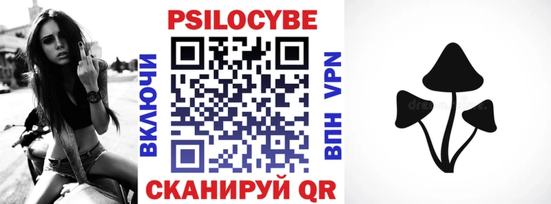 Псилоцибиновые грибы Psilocybe  что такое   kraken ТОР  Тихвин 